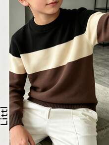 Boys Colorblock Striped Crew Neck Knit Sweater, Casual Long Sleeve Pullover, Autumn/Winter Children Warm Top - Apricot - View 2
