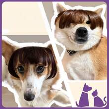 Dog Wig, Pet Halloween Costume, Cat Cosplay Wig, Christmas Party Accessory, Suitable For Small Dogs And Cats, Fun Cosplay Hair Accessory - Multicolor - View 2