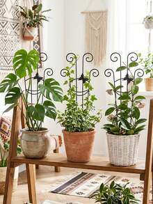 Portable Plant Stem Support Rack, Stackable Iron Space-Saving Climbing Frame, Lightweight Flower Stand For Indoor Plants, Suitable For Women, Windowsill, Room, Bedroom, Home Garden Decoration, Flower Pot Accessories, Indoor Flower Pot - One Size - View 5