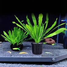 4pcs Aquarium Plant Baskets With Aquarium Soil, Aquarium Landscaping Plant Pots, Suitable For Fish Tank Landscape Arrangement And Plant Cultivation, Providing Stable Support For Aquatic Plants - Aquatic Plant Planting Basket - View 6
