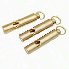 1pc Extra Loud Survival Whistle, Suitable For Outdoor Emergencies, Hiking, Camping And Sports, Compact And Lightweight Design, School Outdoor Sports, Dog Training, Dog Outdoor Survival, With Keychain Rescue Signal Whistle Pendant - A - View 10