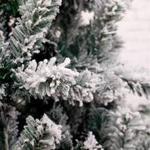 Christmas White Realistic Artificial Snow High-End Velvet Snow Pine Tree, 60cm-240cmwith Added Snow, Christmas Velvet Tree. - White - View 10