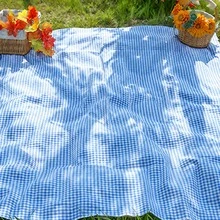 Blue & White Plaid Picnic Mat, Outdoor Cream Style Waterproof Camping Mat, Portable Foldable Grass Pad For Outings - Blue Plaid - View 5