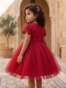 Burgundy Lace Tulle Dress, Flower Girl Dress For Wedding, Birthday Party, Special Occasion - Burgundy - View 7
