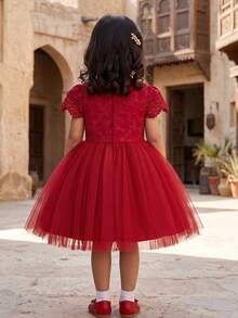 Burgundy Lace Tulle Dress, Flower Girl Dress For Wedding, Birthday Party, Special Occasion - Burgundy - View 8