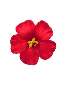1pc Hawaii Tropical Large Frangipani Hair Clips, Suitable For Summer Beach Vacations, Hula Dance Parties, Weddings, Brides, And Seaside Photography - Red - View 1