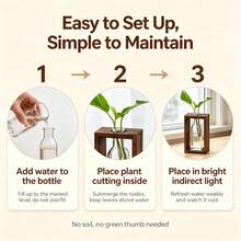 1pc Vintage Wooden Frame Glass Hydroponic Vase, Multiple Styles Available, Ins Style Desktop Greenery Container, Transparent Glass Bottle For Pothos Cuttings, Dorm Office Desktop Decor Ornament, Christmas Thanksgiving Home Gift - Decorative Vase - View 8