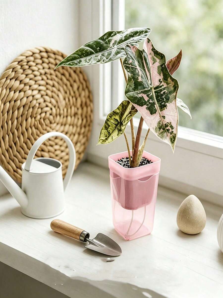 Small Pink Automatic Watering Planter With Humidity Dome, Suitable For Indoor Plants, Transparent Seedling Cup, Tissue Culture Acclimatization Kit, Calathea Bulb Propagation, African Violet, Cuttings, Seedlings - Multicolor - View 1