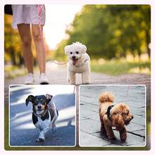 1pc Floral Pet Leash, Fresh Daisy & Sunflower Print, Lightweight Outdoor Dog Leash For Small To Medium Dogs And Cats, Multiple Colors Available - Hot Pink - View 5