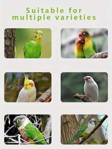 Bird Hanging Ring, Parrot Swing Toy, Hanging Ring With Bell, Durable And Sturdy, Bird Cage Accessory, - A - View 8