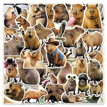 50pcs Cute Capybara Vinyl Stickers Aesthetic, Funny Realistic Capybara ...