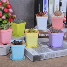 A Set Of 10pcs-Multi-Color Small Square Planter Pots With Trays, Plastic Succulent Planters, Gardening Home Decor, Flower/Vegetable Seed Planting, Balcony Garden, Flower Seedling - Colorful Flower Pot - View 2