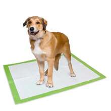 Dog Training Pads, 50 Pcs, 45 * 60 Cm – Absorbent And Leak-Proof - Green - View 3