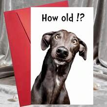 Two Interesting Birthday Cards, Suitable For Birthday Occasions - A Themed Card With A Black Dog. How Old Is He? Comes With Envelope, Paper Greeting Card, Age Themed Humorous Gift, Suitable For Women, Men, Family, Friends, And Parties - Sets - View 5