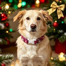 1 buah Kalung Natal Hewan Peliharaan, Kalung Anjing/Kucing Berbentuk Topi Natal Lucu, Pohon Natal, dan Kado Natal - Rose Red - View 3