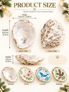 1/3/5pcs Concave Small Oyster Shells, Blank Oyster Shells For Handmade Crafts, DIY Painting Decoration Shells, Suitable For Christmas Ornaments, Beach Home Decor, Wedding Table Decor, Suitable For Adult Craft Enthusiasts, Halloween Thanksgiving Christmas Gifts - Multicolor - View 10
