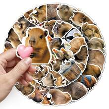 50pcs Cute Capybara Vinyl Stickers Aesthetic, Funny Realistic Capybara ...
