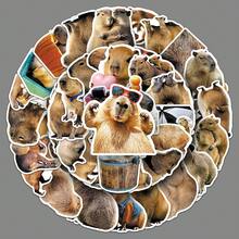 50pcs Cute Capybara Vinyl Stickers Aesthetic, Funny Realistic Capybara ...