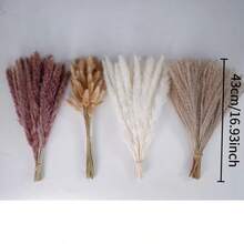 30/60/118件棕色人造蘆葦草花束，附大兔尾草，波希米亞風蓬鬆仿真蘆葦，適用經典婚禮、居家桌面與派對裝飾 DIY 花環 - 白褐色 - 查看 4