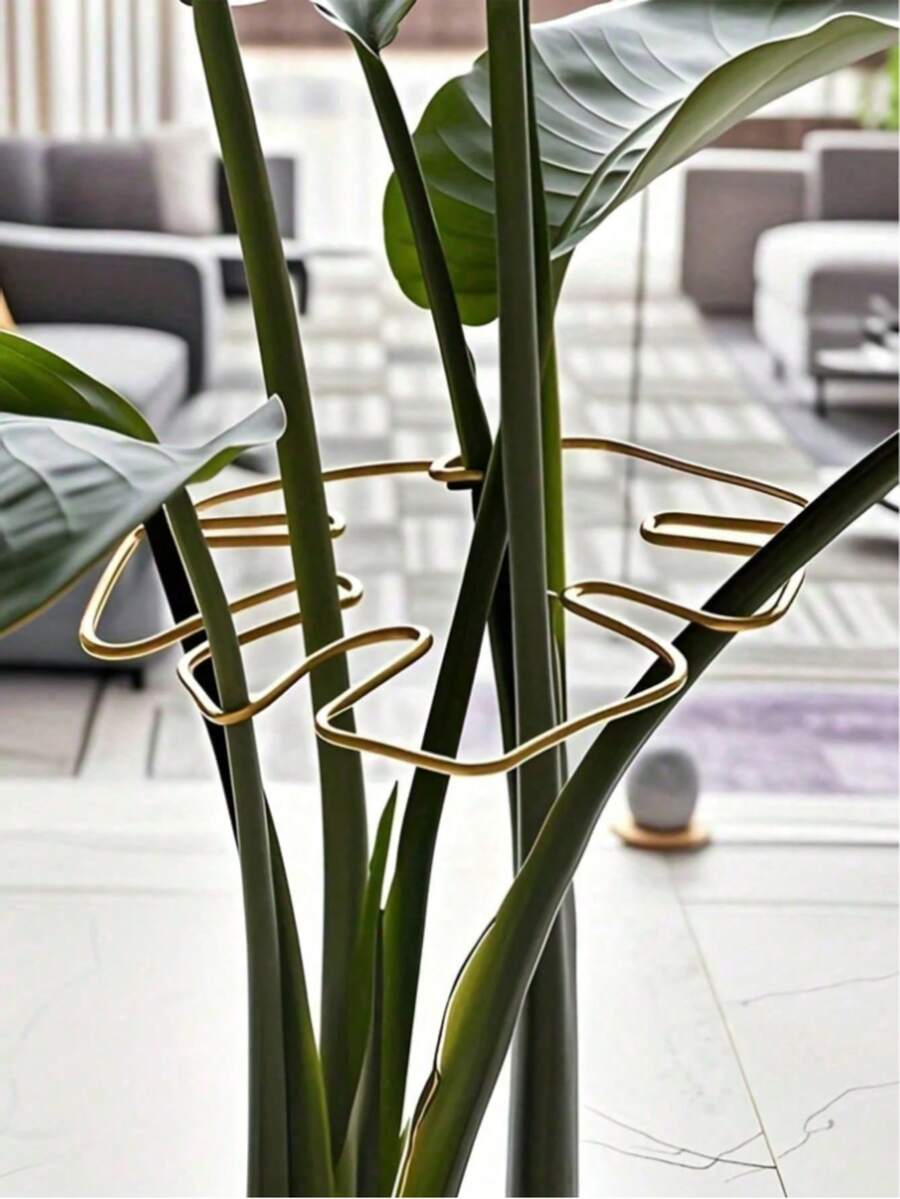 1/2件金屬海龜背葉片植物支撐夾,鐵製植物穩定器,莖部固定器,葉形支撐,大葉室內盆栽防傾倒,保持莖部挺直,室內盆栽園藝用品,居家園藝裝飾,秋季居家裝飾 - C - 查看 1