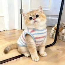 Cute Striped Plush Pet Vest, Thickened Fleece Winter Warm Clothing, Anti-Shedding Sleeveless Outfit, Suitable For Small And Medium Dogs And Cats - Blue - View 6