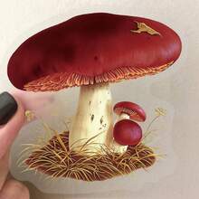 50pcs Vintage Mushroom Creative PET Double Transparent Graffiti Sticker Decoration DIY Phone Case, Account, Computer, Guitar, Water Cup Festival Gift Stickers - 1 Set/50 PCS - View 4