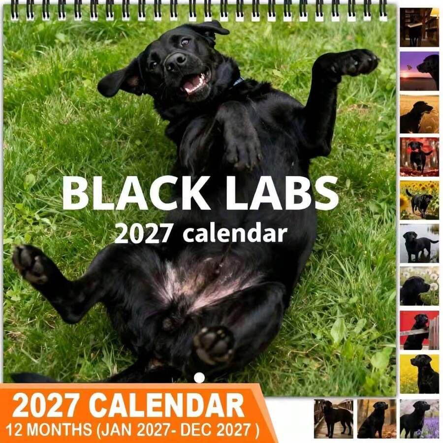 (Thick Double-Sided Spiral Printing) Black Labrador 2027 12-Month Wall ...