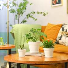 6-Piece Set Of White Plastic Flower Pots (With Saucer), Dimensions 12.5 * 10.5 Cm, Round Flower Pots With Drainage Holes, Suitable For Succulents, Cacti, Indoor Plants, And Balcony Plants - 6pcs - View 2