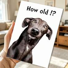 Two Interesting Birthday Cards, Suitable For Birthday Occasions - A Themed Card With A Black Dog. How Old Is He? Comes With Envelope, Paper Greeting Card, Age Themed Humorous Gift, Suitable For Women, Men, Family, Friends, And Parties - Sets - View 6