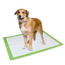 Green Dog Training Pads (XL, 40 Pcs, 60x60 Cm) - Green - View 3