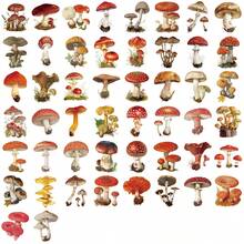 50pcs Vintage Mushroom Creative PET Double Transparent Graffiti Sticker Decoration DIY Phone Case, Account, Computer, Guitar, Water Cup Festival Gift Stickers - 1 Set/50 PCS - View 5