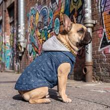1pc Pet Dog Jacket With Back Leash Ring, Denim Color Hooded Jacket, Suitable For Small/Medium Dogs, Puppies And Cats, For Outdoor And Indoor Wear In Cold Autumn/Winter Weather - Blue - View 5