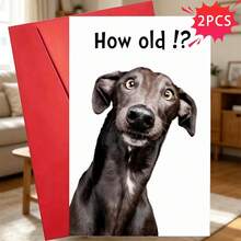 Two Interesting Birthday Cards, Suitable For Birthday Occasions - A Themed Card With A Black Dog. How Old Is He? Comes With Envelope, Paper Greeting Card, Age Themed Humorous Gift, Suitable For Women, Men, Family, Friends, And Parties - Sets - View 2