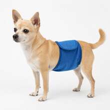 Male Dog Anti-Urination Manners Belt, Breathable Honeycomb Mesh Adjustable Physiological Pants, Replaceable Absorbent Pads, Reusable Pet Diapers - Blue - View 1