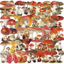 50pcs Vintage Mushroom Creative PET Double Transparent Graffiti Sticker Decoration DIY Phone Case, Account, Computer, Guitar, Water Cup Festival Gift Stickers - 1 Set/50 PCS - View 1