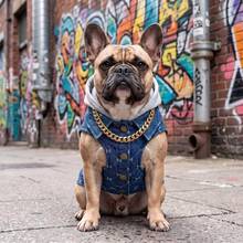 1pc Pet Dog Jacket With Back Leash Ring, Denim Color Hooded Jacket, Suitable For Small/Medium Dogs, Puppies And Cats, For Outdoor And Indoor Wear In Cold Autumn/Winter Weather - Blue - View 6