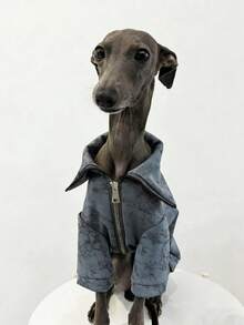 Italian Whippet Dog Printed Zipper Jacket Windproof Warm Fashion Pet Clothes - Grey - View 5