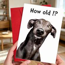 Two Interesting Birthday Cards, Suitable For Birthday Occasions - A Themed Card With A Black Dog. How Old Is He? Comes With Envelope, Paper Greeting Card, Age Themed Humorous Gift, Suitable For Women, Men, Family, Friends, And Parties - Sets - View 4