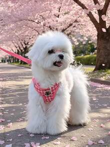 Pink Plaid Dog Harness Set With Drawstring, Adjustable Anti-Pull Vest For Small, Medium And Large Dogs And Cats, Breathable Mesh Design - Multicolor - View 8