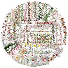 60pcs Flower Ledger Lace Creative Graffiti Stickers PET Dual Transparent Material Suitable For Decoration Phone Cases, Water Bottles, Computers, Desks, Beautiful Stickers - 1 Set - View 2