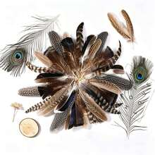 Mixed Color Handmade Feathers 15/30/48pcs, 6 Mixed Color Bird Feathers, Suitable For Hat Making, Jewelry, Wedding, Clothing DIY Decoration - A - View 6