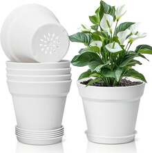 6-Piece Set Of White Plastic Flower Pots (With Saucer), Dimensions 12.5 * 10.5 Cm, Round Flower Pots With Drainage Holes, Suitable For Succulents, Cacti, Indoor Plants, And Balcony Plants - 6pcs - View 9
