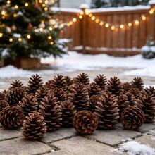 5/10/30pcs 6CM Plastic Pine Cones, Natural Mini Pine Cones For Christmas Tree, Wreath And Autumn Crafts - Brown - View 6