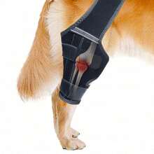 Dog Knee Braces - Adjustable Dual Leg Braces, Helps Treat ACL/PCL Tears, Patellar Dislocation, Ligament Injuries, Osteoarthritis - Black - View 3