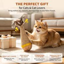 Rolling Cat Teaser Toy, Interactive Cat Toy, Durable Chew Puzzle Ball, Suitable For Lonely Cats To Relieve Anxiety And Destructive Behavior - Multicolor - View 6
