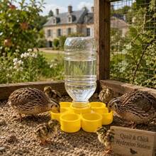 Automatic Poultry Waterer For Chicks And Ducklings, Anti-Drowning Drinking Tool, Essential Brooder Supplies For Raising Chickens - Multicolor - View 3