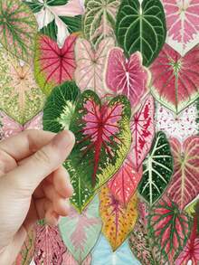 50pcs Colorful Artistic Plant Leaf Stickers PET Material For Adults Teens Sticker Enthusiasts Scrapbooking, Notebooks Laptops Phone Cases Luggage And Guitar Decorations Stickers - A - View 8