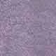 Mauve Purple