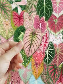 50pcs Colorful Artistic Plant Leaf Stickers PET Material For Adults Teens Sticker Enthusiasts Scrapbooking, Notebooks Laptops Phone Cases Luggage And Guitar Decorations Stickers - A - View 6
