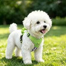 Dog Vest Harness For Small And Medium Dogs, Bichon, Corgi, Anti-Pull Dog Harness For Walking And Outdoor Use - Multicolor - View 7